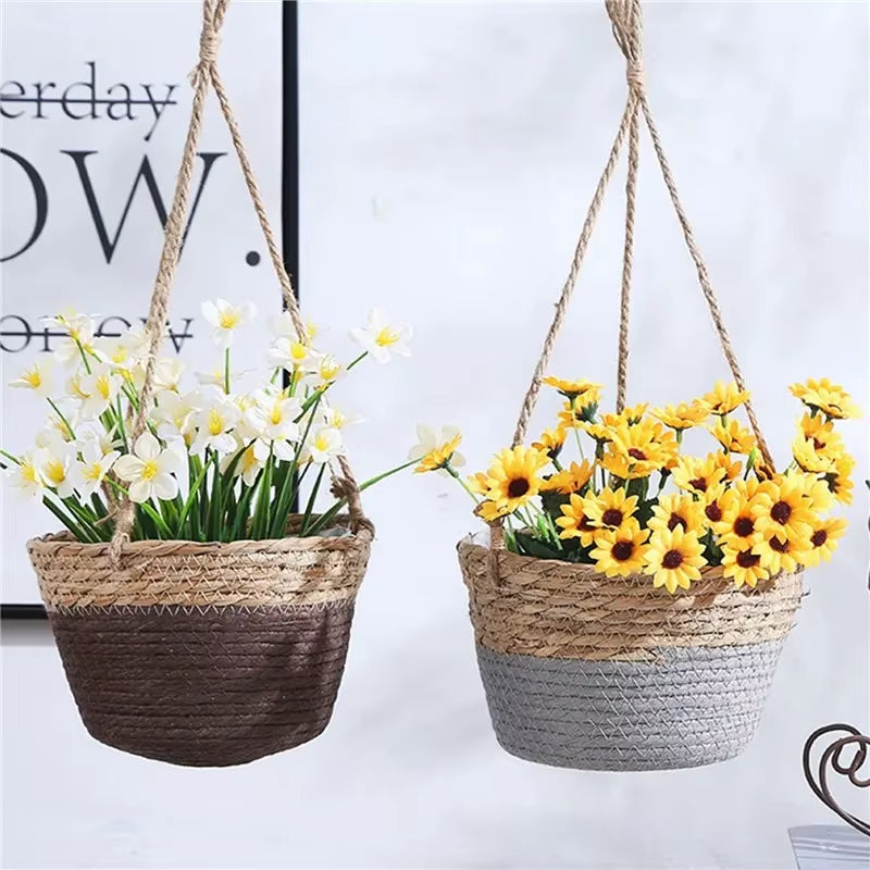 Two hanging planters with flowers on a white background